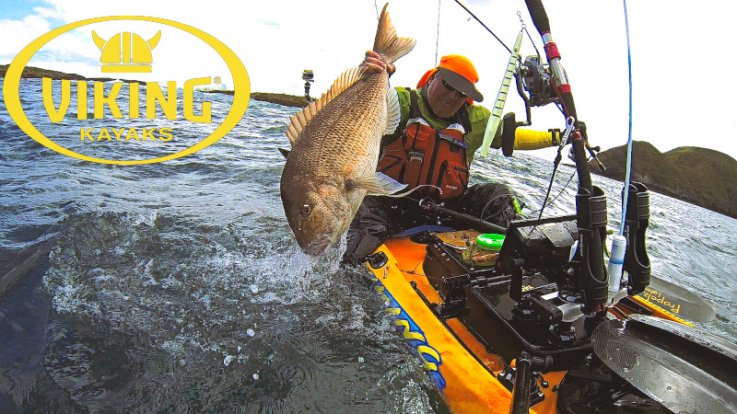 Hunting big snapper out of the kelp this winter